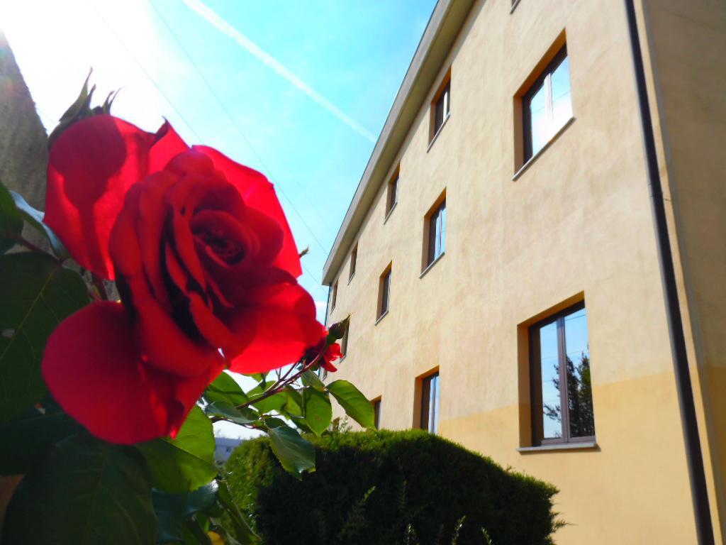 Hotel Majestic San Giuliano Milanese Eksteriør bilde